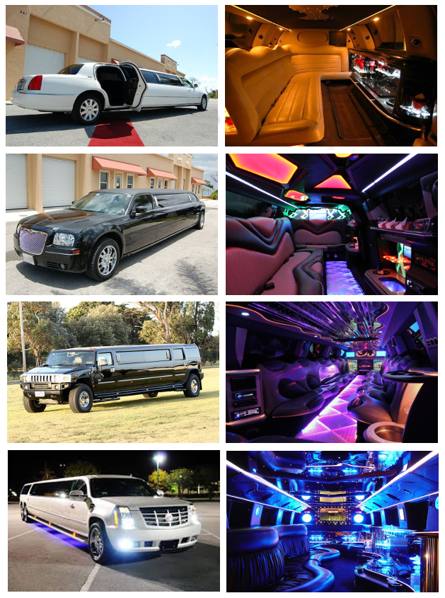 Cheap Tampa Limos