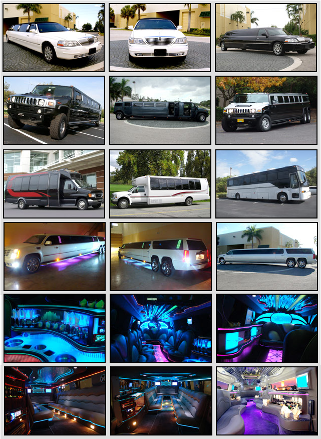 limo service Pinellas County