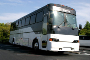 40 Passenger Party Bus