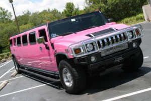 tampa pink limo
