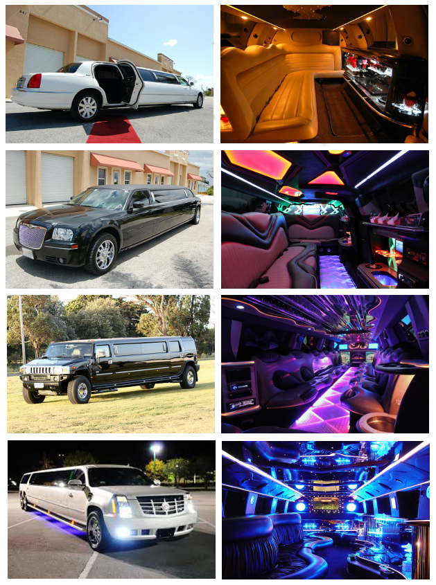 Chauffeur Service
